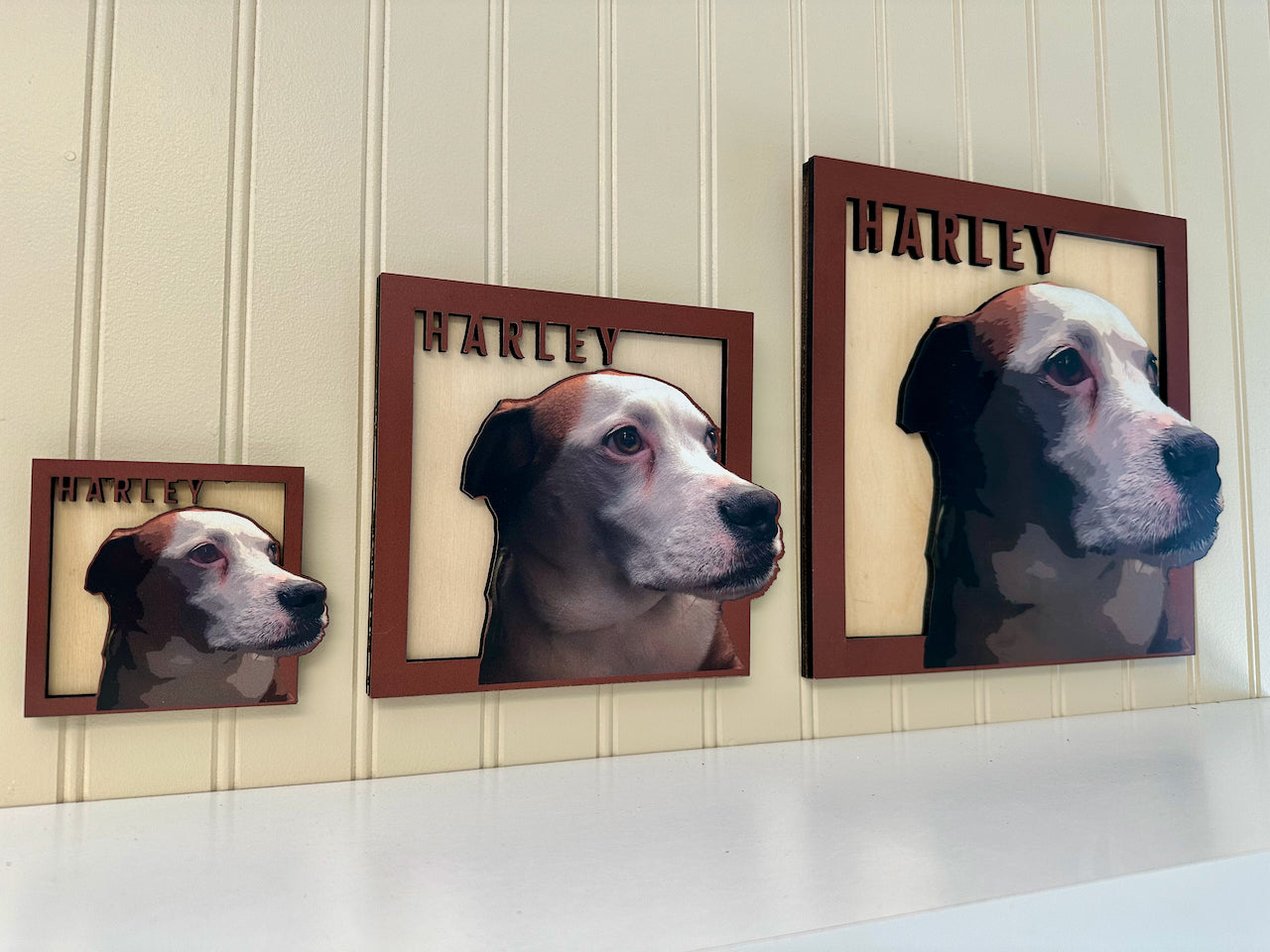 Forever Framed Pet Portrait