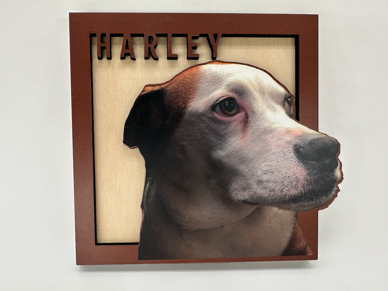 Forever Framed Pet Portrait