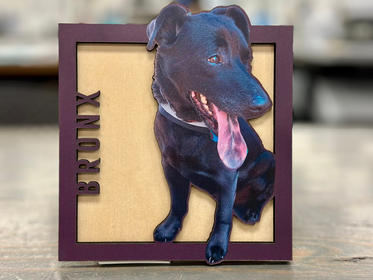 Forever Framed Pet Portrait