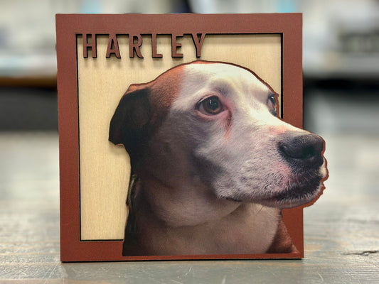 Forever Framed Pet Portrait