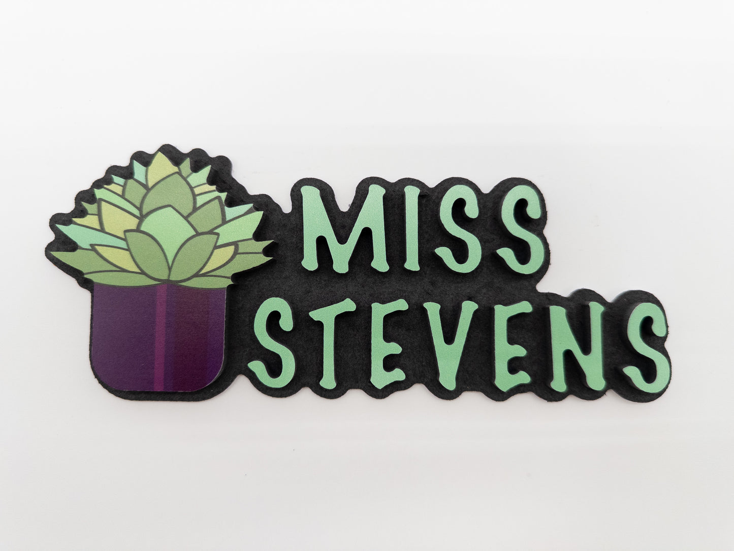 Succulent-Themed Desk Name Plate – Personalized Gift for Plant Lovers