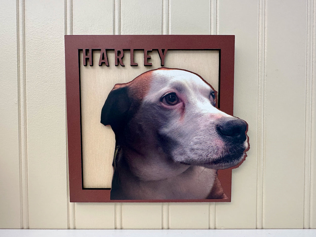 Forever Framed Pet Portrait