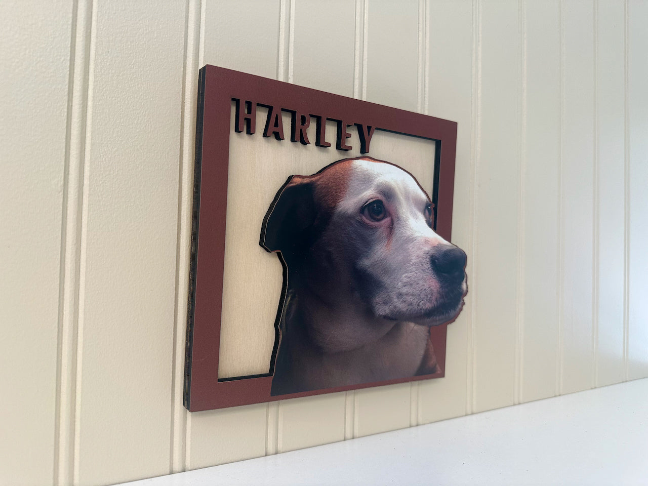 Forever Framed Pet Portrait