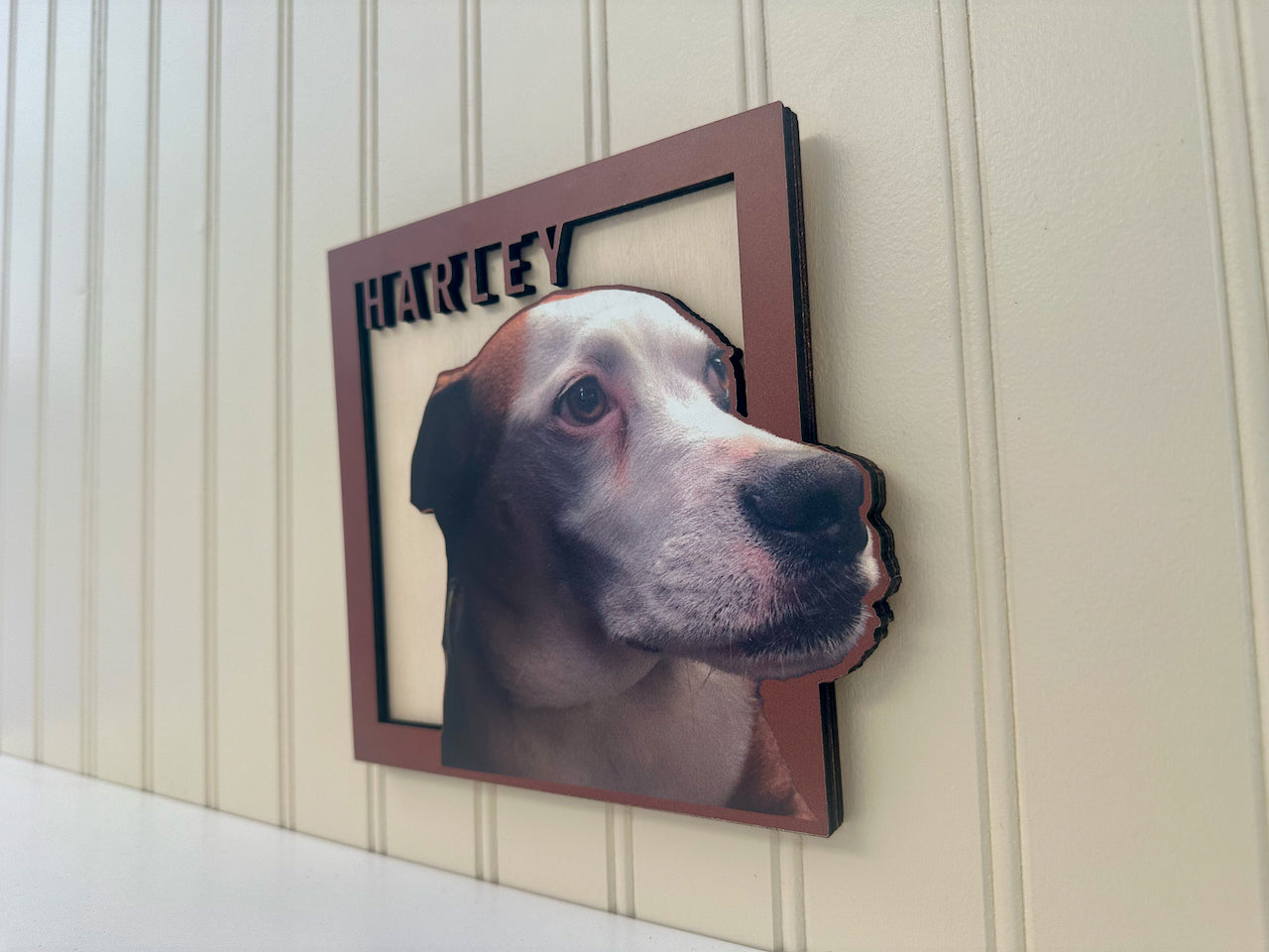 Forever Framed Pet Portrait